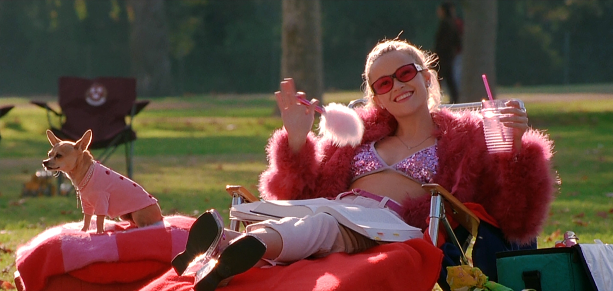 Film backdrop for Ladies: Legally Blonde (2001)