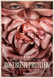 Poster for Rosebush Pruning