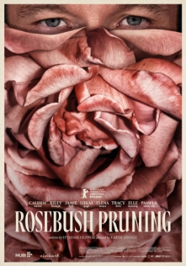 Poster for Rosebush Pruning