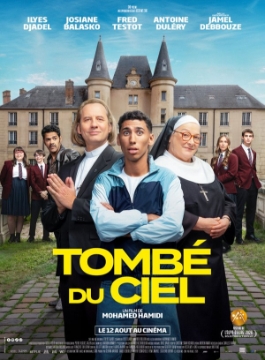 Poster for Tombé du ciel